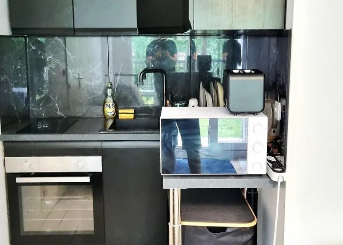 T2 Terrasse, Parking & Wifi, A 300m De La 빌레쉬르메르